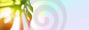 Banner. The shadow of a tropical monstera leaf is painted in a rainbow color on a rainbow fabric background. With a