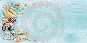 Banner Shells Blue Wood Background