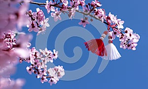 Banner Spring background with pink blossom and Bulgarian symbol of spring - martenitsa. Spring flowers cherry sakura