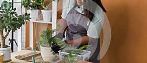 Banner Spring hobby happy african american woman transplanting in flower pot houseplant with dirt or soil at home