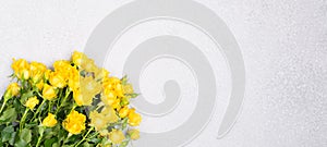 Banner Spring Summer concept with yellow roes flowers on white table background top view mockup free space copy space