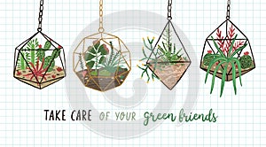 Banner with succulents, cactuses and other plants growing in hanging glass vivariums or florariums and Take Care Of Your