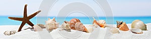 Banner summer background with white sand.  Seashell and starfish on the beach