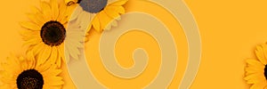 Banner with sunflowers on a yellow background.
