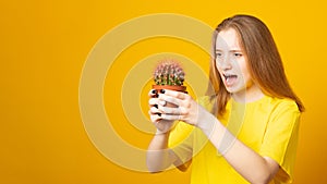 Banner. Teen girl screams in pain, pricked by a cactus on a yellow background. Stress and health concept.