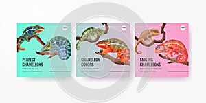 Banner template with chameleon lizard concept,watercolor style
