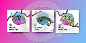 Banner template with chameleon lizard concept,watercolor style