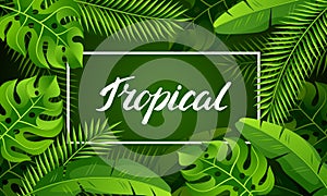 Banner with tropical palm leaves. Exotic tropical plants. Illustration of jungle nature