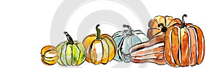 Banner with Watercolor pumpkins set, autumn harvest season or Thanksgiving clipart, collection of vegetables isolated on white