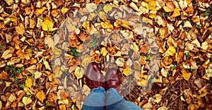 Banner for web Fall, autumn, leaves, legs and shoes. Conceptual image of legs boots on the autumn leaves. Feet shoes walking in