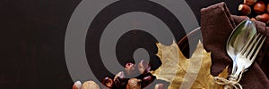 Banner for Web. Tableware, walnuts, hazelnuts, chestnuts and acorns on dark wooden background.