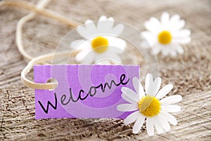 Banner with Welcome