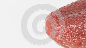 Macro photo of healthy human language. Tongue papillae taste buds and taste. A banner on a white background with space for text.