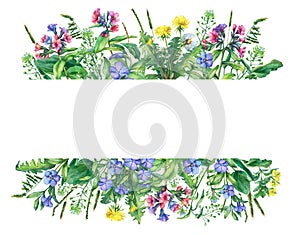 Banner with wild meadow flowers and grass, isolated on white background. photo