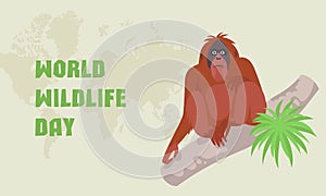 Banner World Wildlife Day, March 3. Orangutans in Borneo. Threat of extinction. Fauna, animal. Vector illustration