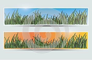 Banners with grass and sun