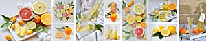 Banners set of citrus fruits and alcohol drinks. Fresh organic juicy fruit - mandarin, lemon, grapefruit. Orange flavored liqueur,