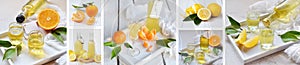 Banners set of citrus fruits and alcohol drinks. Fresh organic juicy fruit - mandarin, lemon, grapefruit. Orange flavored liqueur,