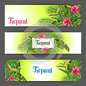 Banners with tropical leaves and flowers. Palms branches, bird of paradise flower, hibiscus