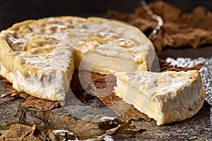 Banon cheese unwrapped from grape leaves