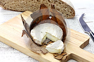 Banon a la feuille, french goat cheese photo