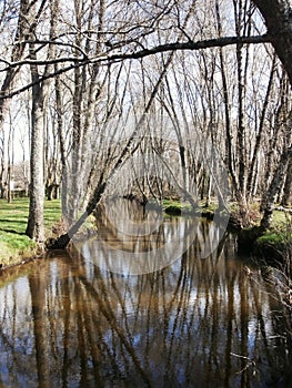 A river crosses this park, next to the spa. Walk, rest, fishingin, in Galicia Northwest Spain photo