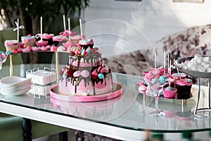 Banquet table for a banquet in a restaurant.chic pink cake, kids cake, birthday cake, sweet table,candy bar,