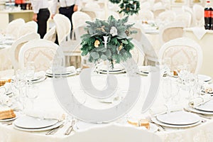 Banquet wedding table setting winter decorated