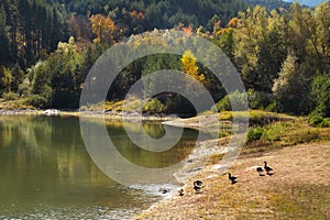 Bansko autumn panorama with lake, Bulgaria