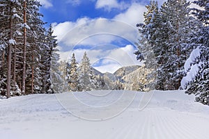 Ski resort Bansko, Bulgaria, groomed ski road