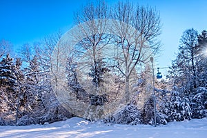 Bansko ski resort forest and ski lift, Bulgaria