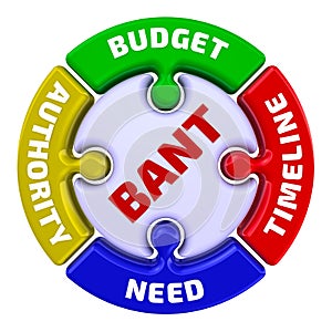 BANT. Budget, Authority, Need, Timeframe. The mark in the form of a puzzle