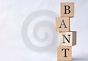 BANT - acronym on wooden cubes on a white background