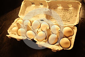 BANTAM CHICKEN EGGS