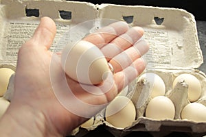Bantam chicken eggs, in hand
