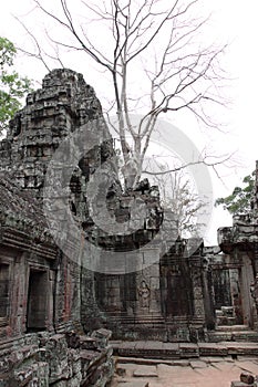 Banteay Kedi Temple in Angkor