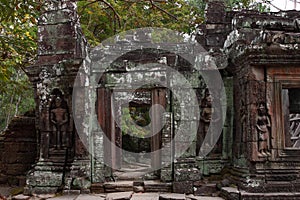 Banteay Kedi Temple in Angkor