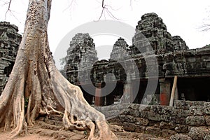 Banteay Kedi Temple in Angkor photo