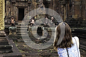 BANTEAY SREI temple, being widely praised as a `precious gem`, or the `jewel of Khmer art.` photo