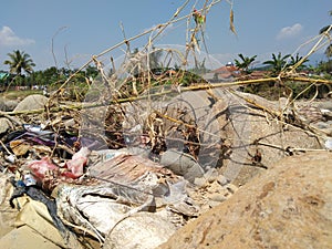 Banten, Indonesia. 29th of July 2021. A bamboo tree and trash stucked among the stones