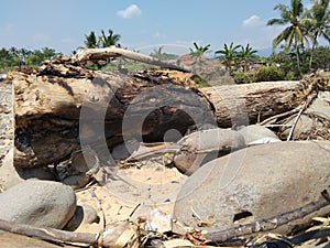 Banten, Indonesia. 29th of July 2021. A big log wood stucked among the stones