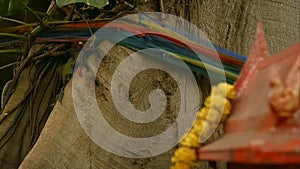 Banyan tree with colorful rope-003