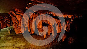 Banyan Tree formations in Belum Caves, Kolimigundla, Andhra Pradesh, India.