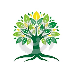 Banyan Tree Logo Design