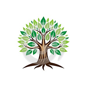 Banyan Tree Logo Design