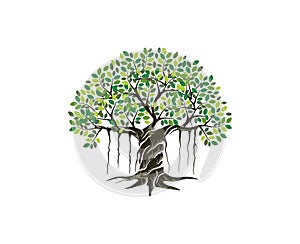 Banyan tree logo illustration