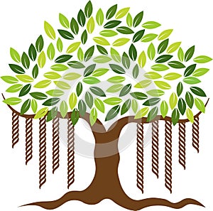 Banyan tree logo