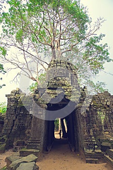 Banyan tree over the door from Ta Som. Angkor Wat photo