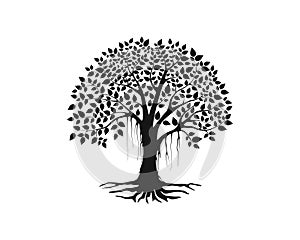 Banyan tree vector with hand drawing style.