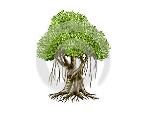 Banyan tree vector illustration with roots